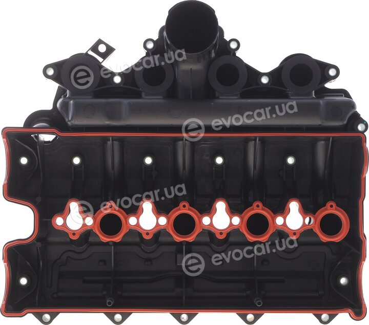 Solgy 114303