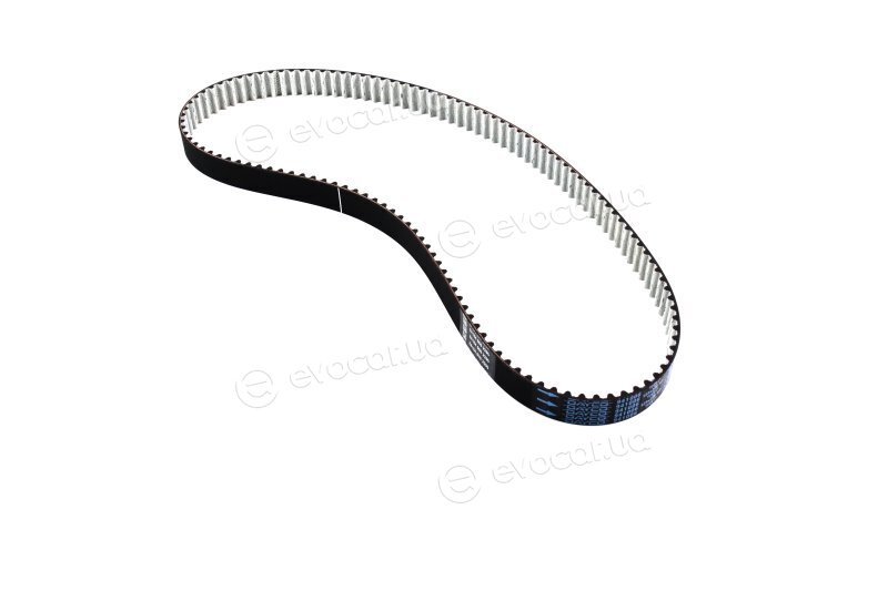 Dayco 941006