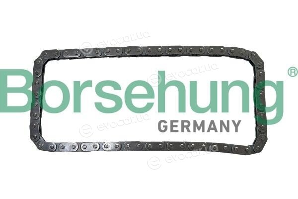 Borsehung B13345