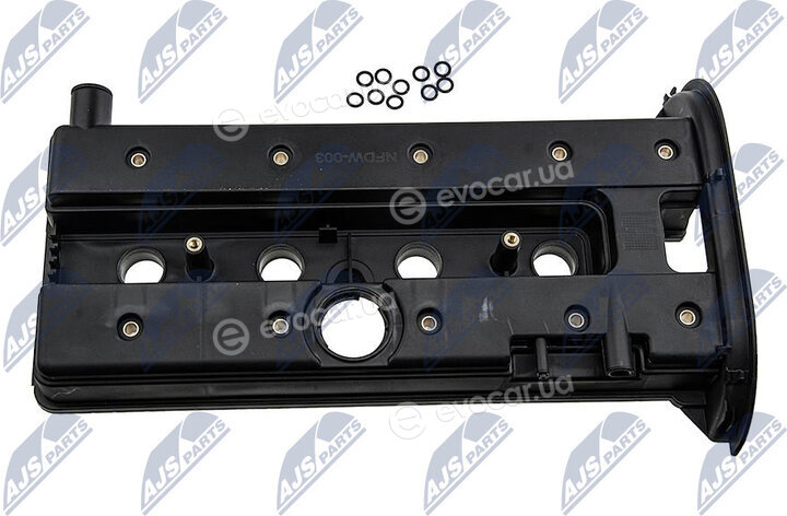 NTY BPZ-DW-003
