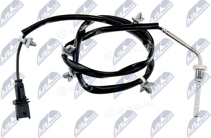 NTY EGT-PL-031