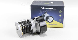 Michelin FMMT01711