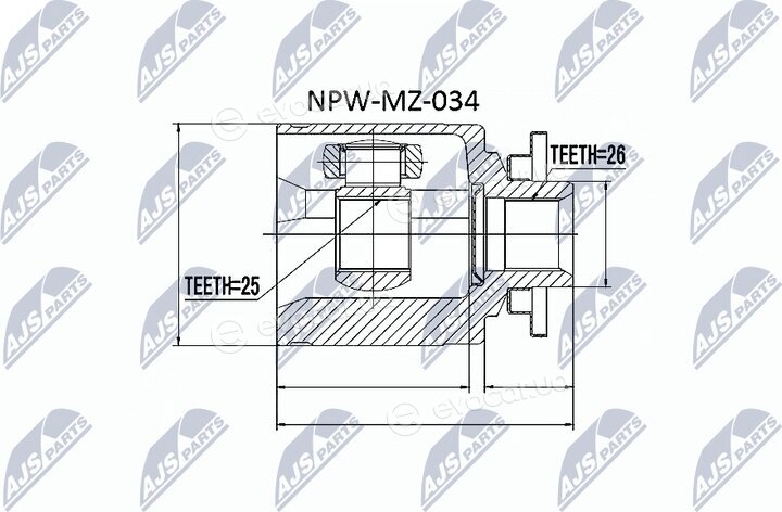 NTY NPW-MZ-034