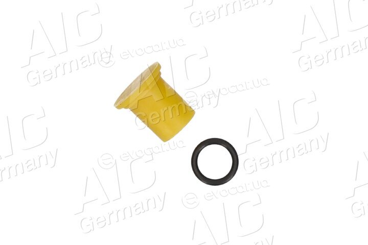 AIC 58431