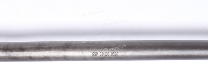 GSP 244026