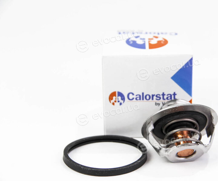 Vernet / Calorstat TH4885.83J