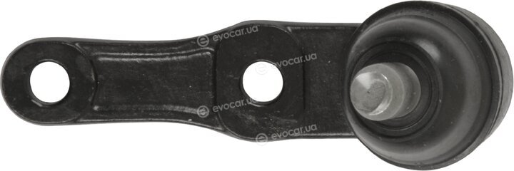 Blue Print ADG08613