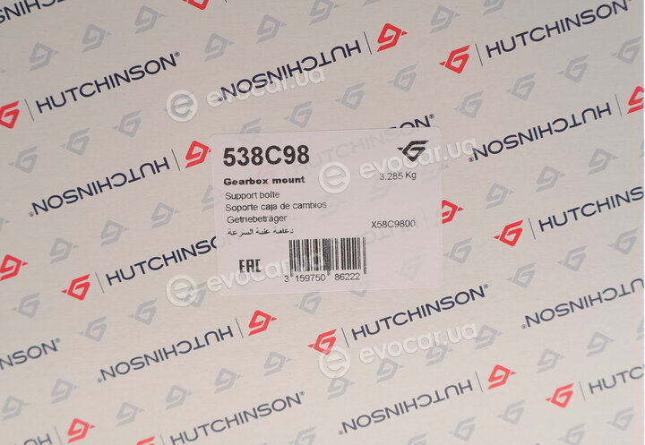 Hutchinson 538C98