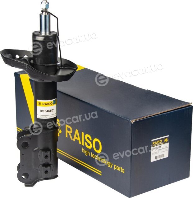 Raiso RS546501