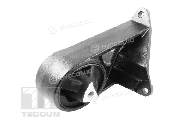 Tedgum TED49330