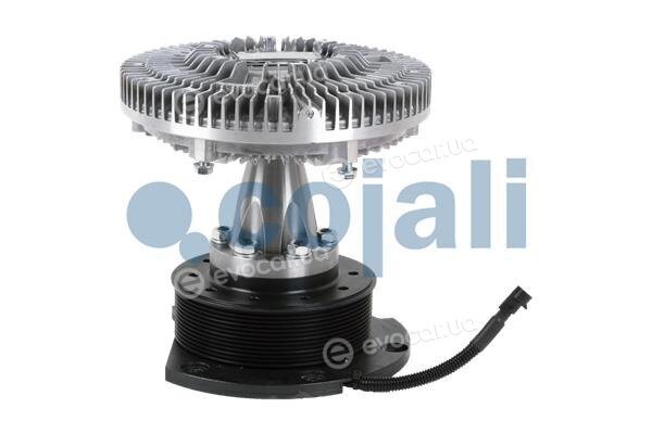 Cojali 7053802
