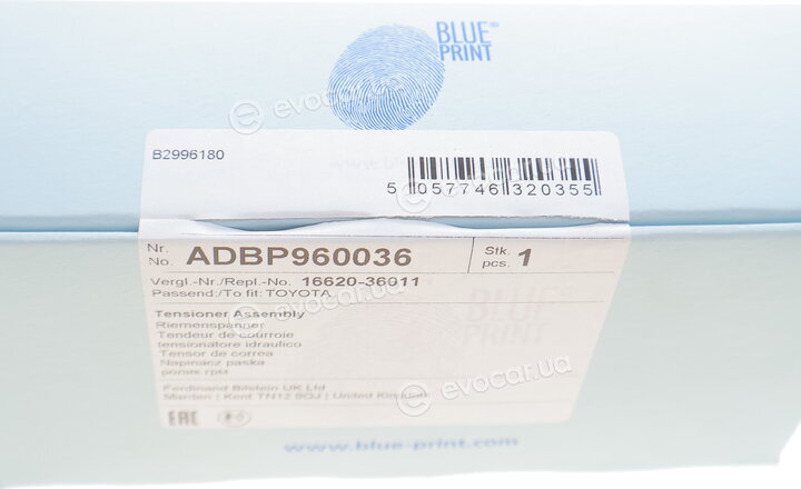 Blue Print ADBP960036