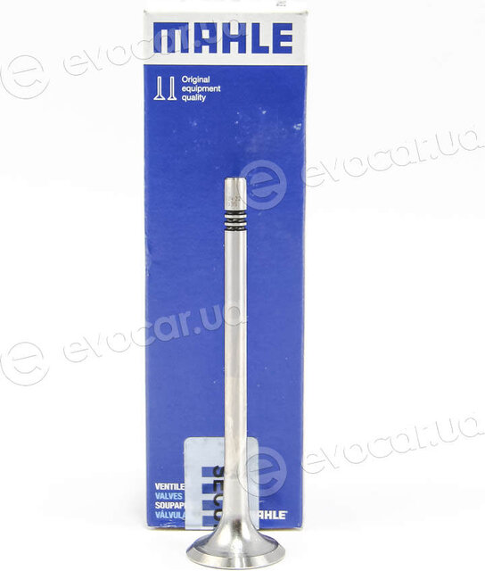 Mahle 029 VA 31993 000