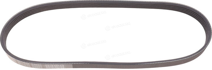 Dayco 5PK736