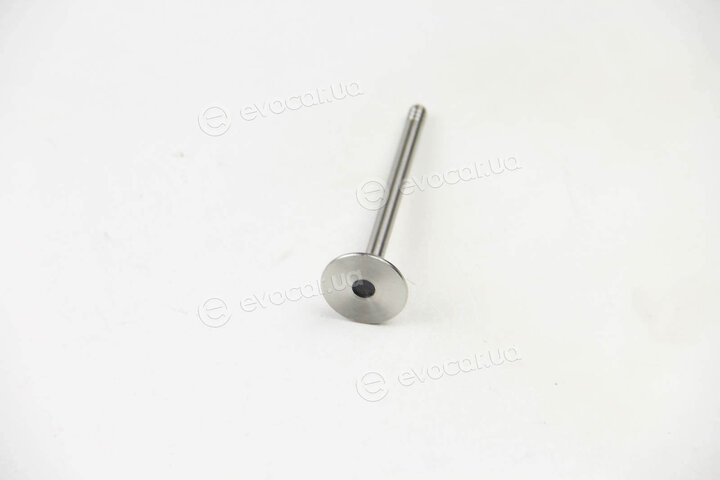 BGA V163731
