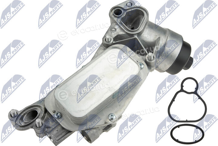 NTY CCL-PL-013