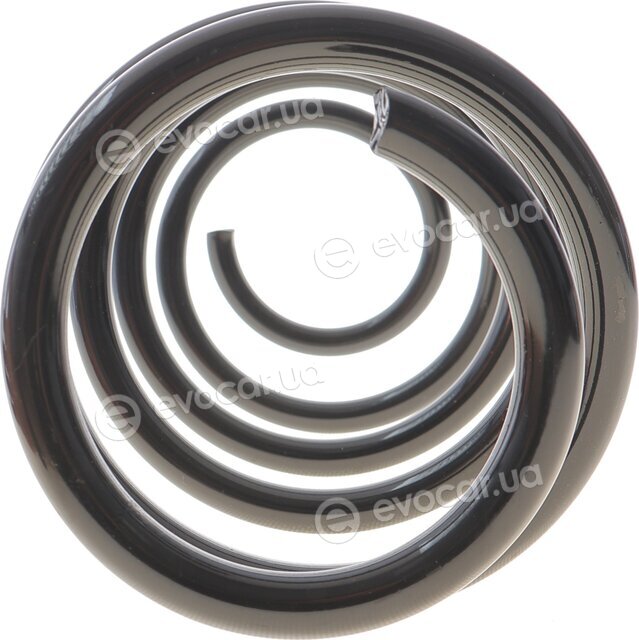 Solgy 212142