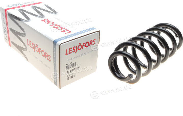 Lesjofors 4004273