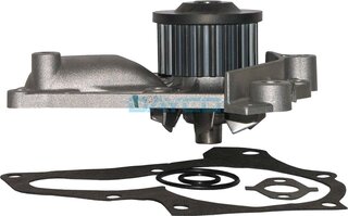 Dayco DP067