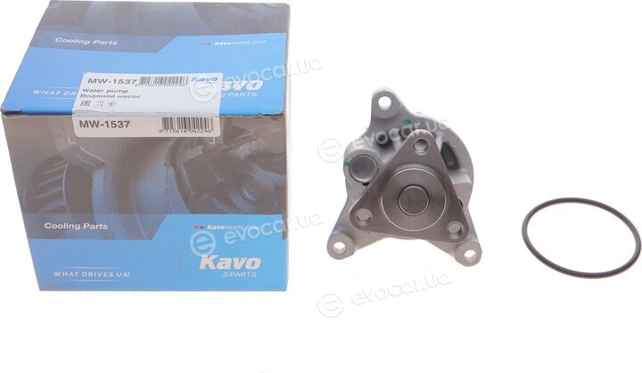 Kavo MW-1537