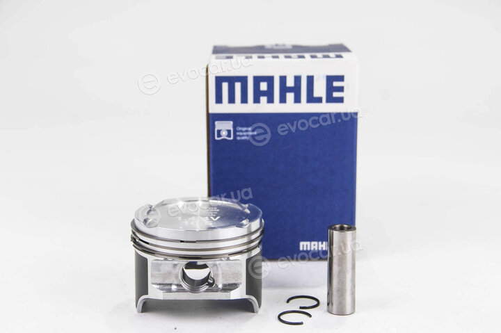Mahle 030 89 02
