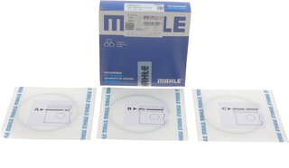 Mahle 021 RS 00113 0N2