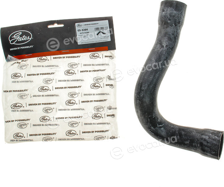 Gates 05-3264