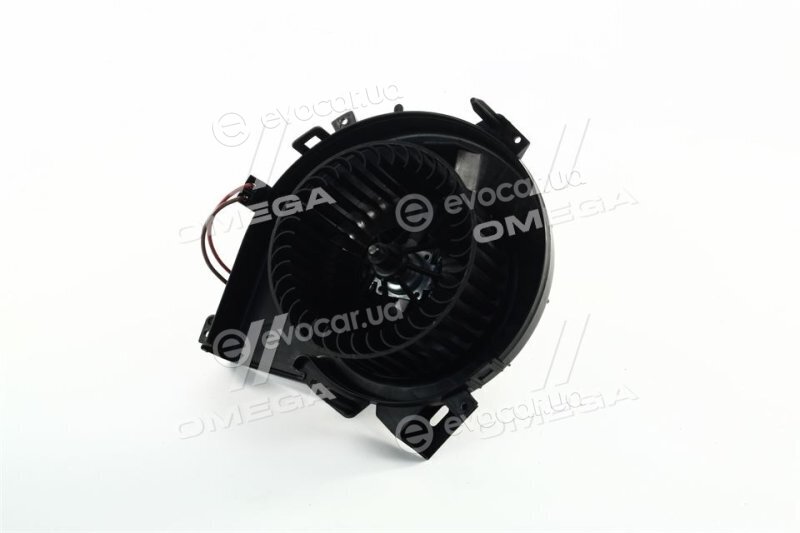 AVA OL8609