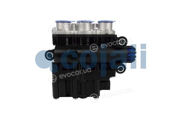 Cojali 2209476