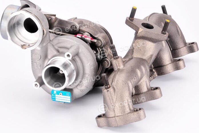 BorgWarner 54399880022