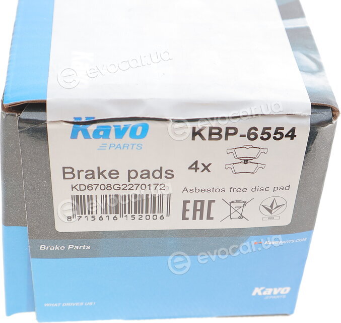 Kavo KBP-6554