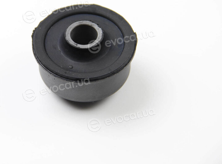 BC Guma 0243