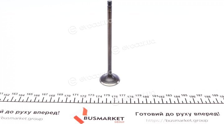 AMP PHON034-S-0-N
