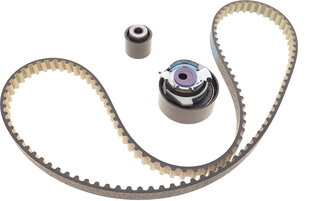 Dayco KBIO14
