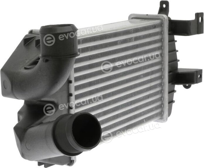 AVA OL4584