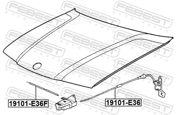 Febest 19101-E36F