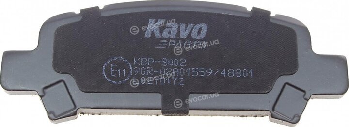 Kavo KBP-8002