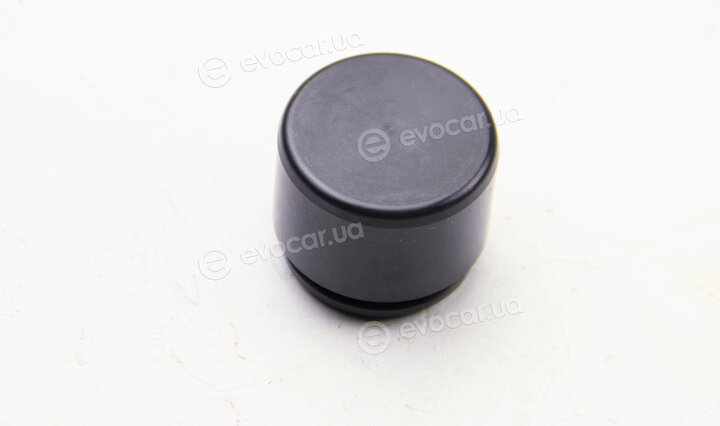 Autofren D025368