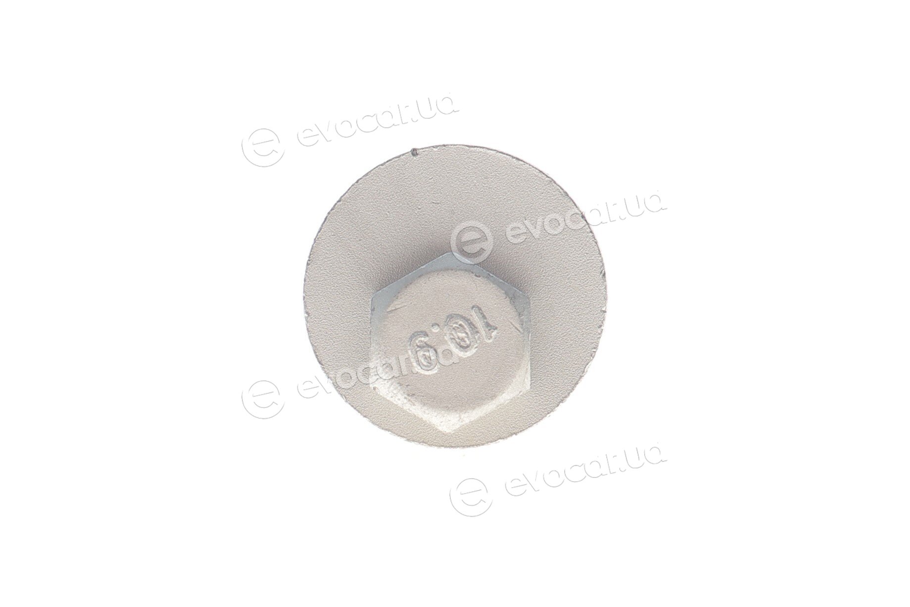 Solgy 204241