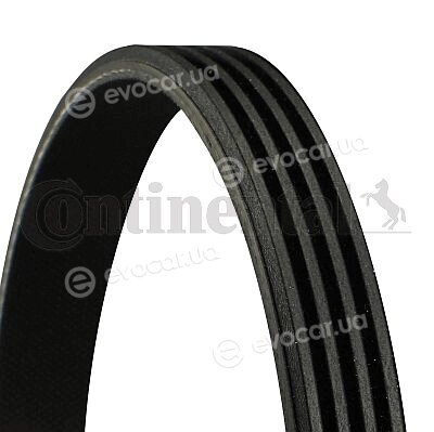 Continental 4PK713 ELAST