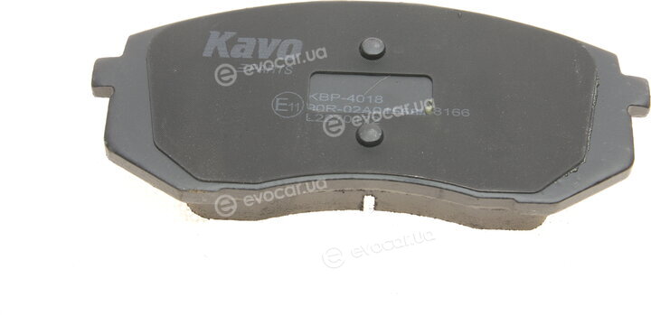 Kavo KBP-4018