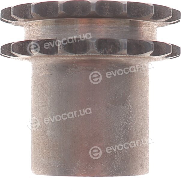 Motive TCK55