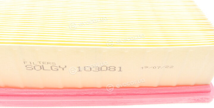 Solgy 103081