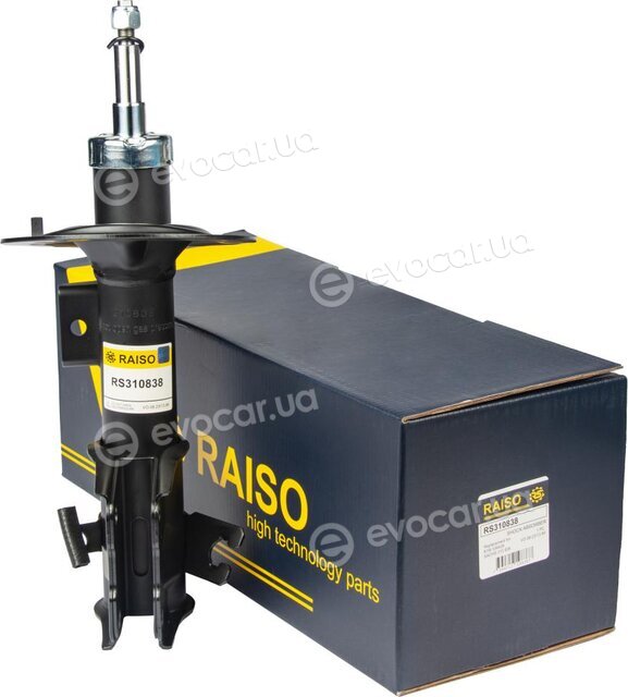 Raiso RS310838