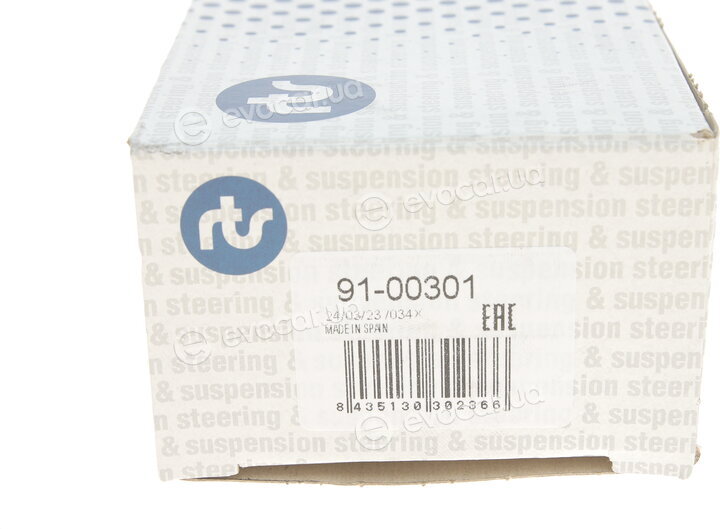 RTS 91-00301