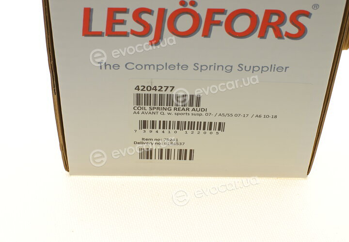Lesjofors 4204277