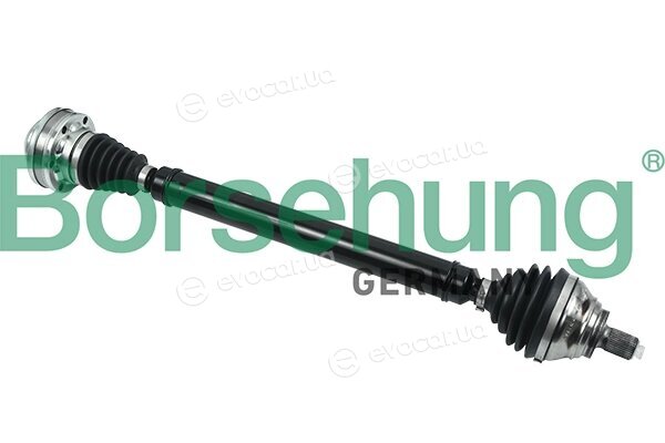 Borsehung B18305