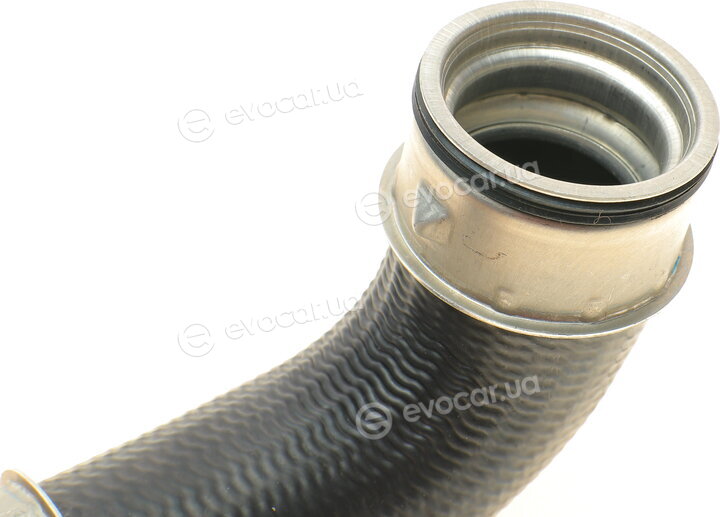 Solgy 114093