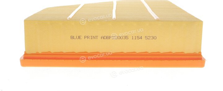 Blue Print ADBP220035
