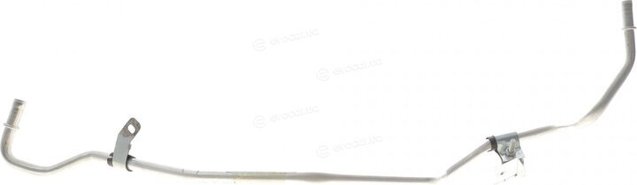 AIC 55969